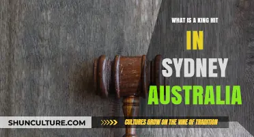 Understanding King Hits: Sydney's Dangerous One-Punch Culture Explained