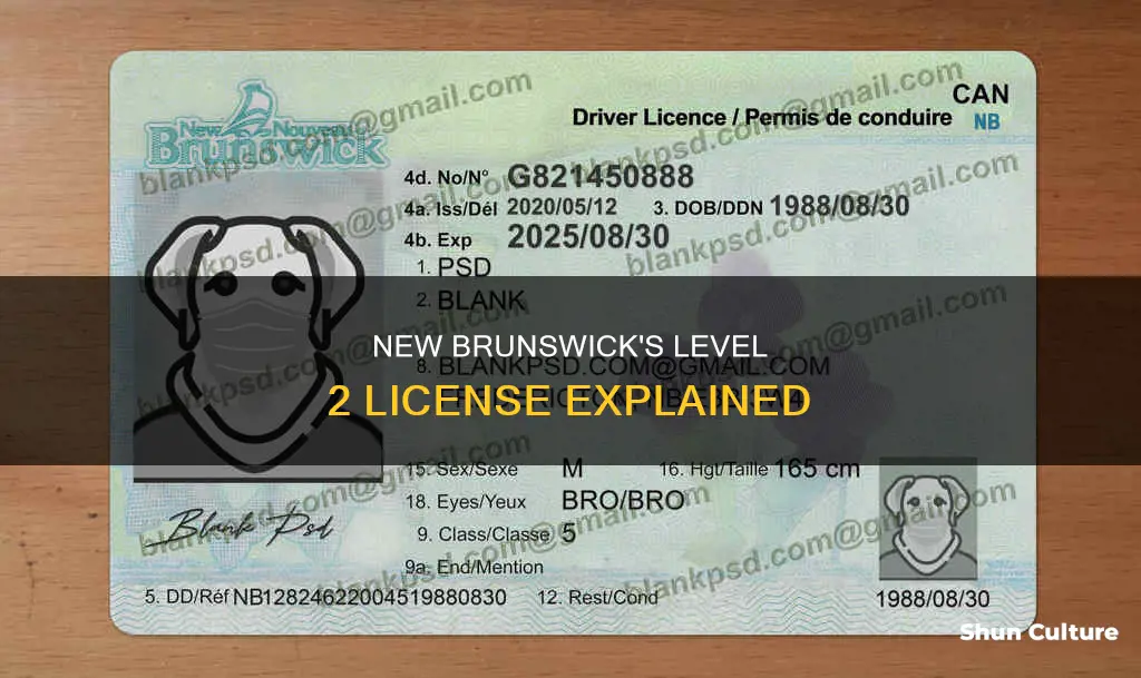 what is a level 2 license in new brunswick