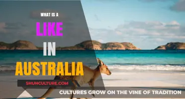 Exploring Australian Likes and Culture
