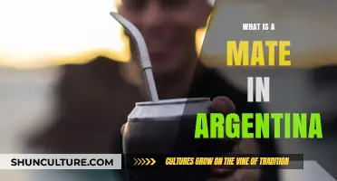 Exploring the Unique Bond of Friendship in Argentina: What's a Mate?