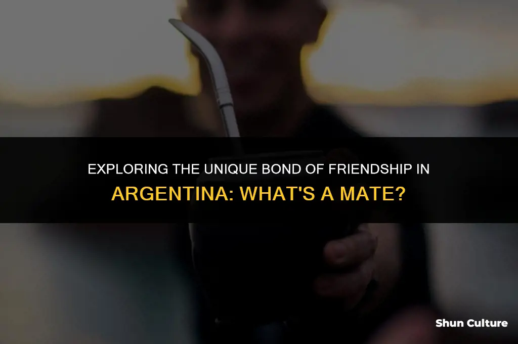 what is a mate in argentina