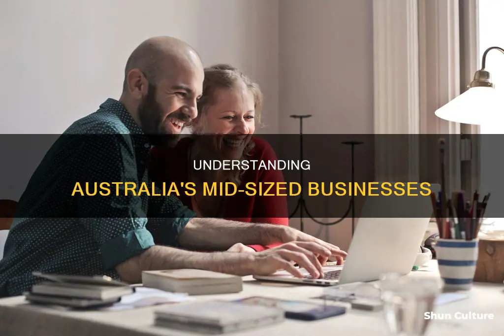 what is a medium sized business in australia