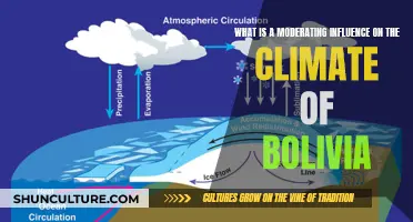 Bolivia's Climate: Mitigating Influences and Their Impacts