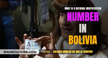 Understanding Bolivia's National ID Number System