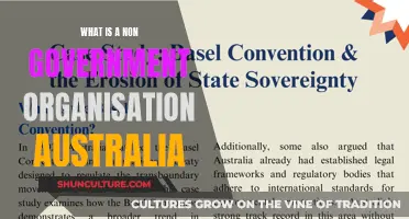 Understanding Australia's Non-Government Organisations: Definition and Scope