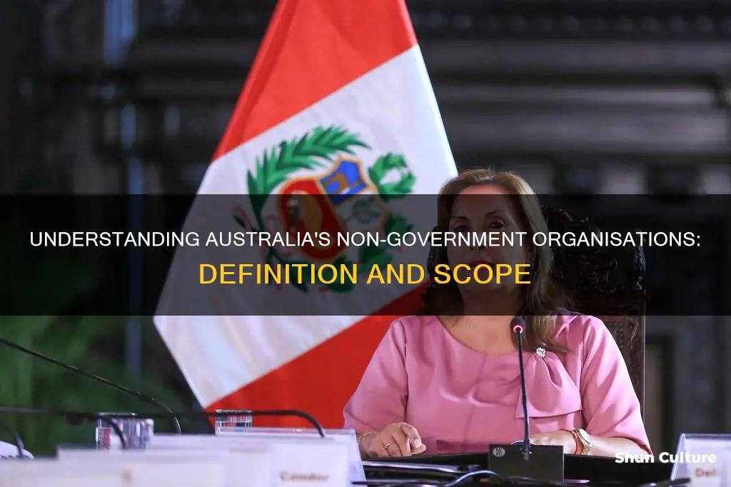 what is a non government organisation australia