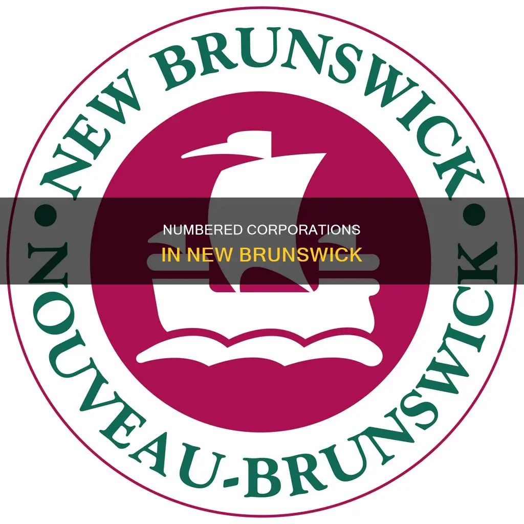 what is a numbered company in new brunswick canada