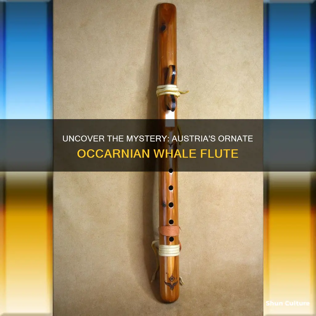 what is a ocarnia whale flute from austria