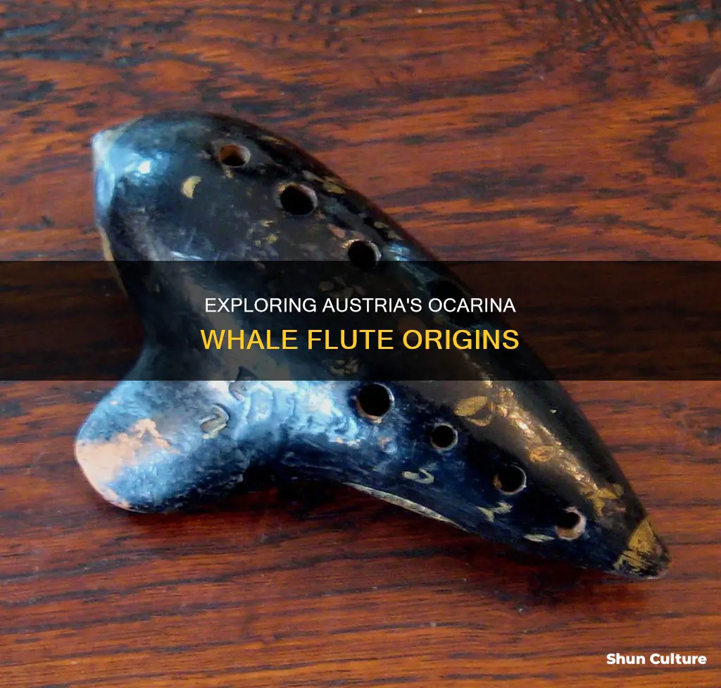 what is a ocarnia whale flute from austria