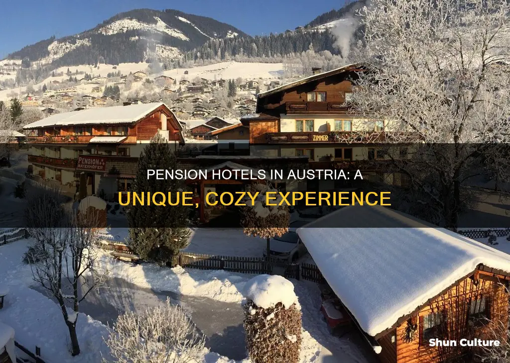 what is a pension hotel austria