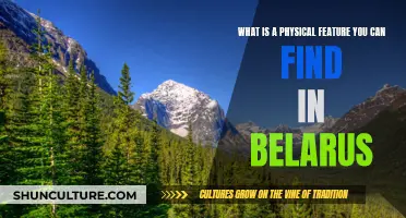 Belarus' Natural Beauty: Discovering Unique Physical Features