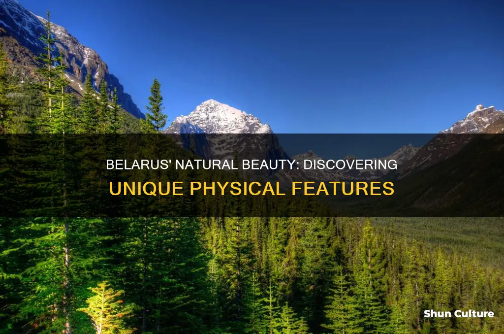 what is a physical feature you can find in belarus