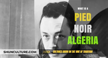 Understanding the Pied-Noir Identity in Algeria's Complex History