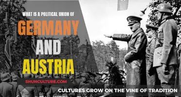 The Political Union: Germany and Austria's United Future