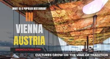 Taste of Vienna: A Guide to the City's Best Restaurants