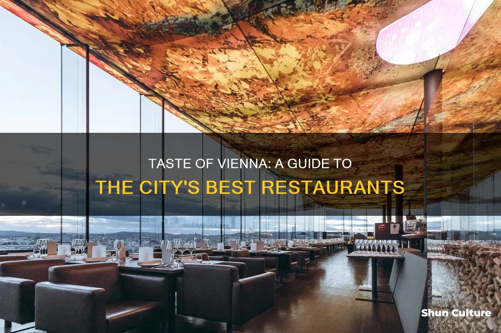 what is a popular restaurant in vienna austria