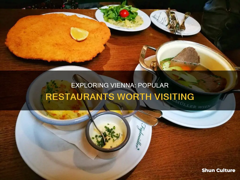what is a popular restaurant in vienna austria