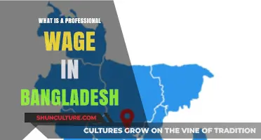 Understanding Professional Wages in Bangladesh: A Comprehensive Salary Guide
