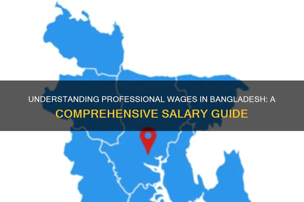 what is a professional wage in bangladesh