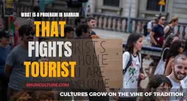 Bahrain's Fight Against Tourism: A Controversial Program Explored