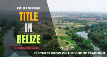 Understanding Provisional Titles: The Belizean Perspective