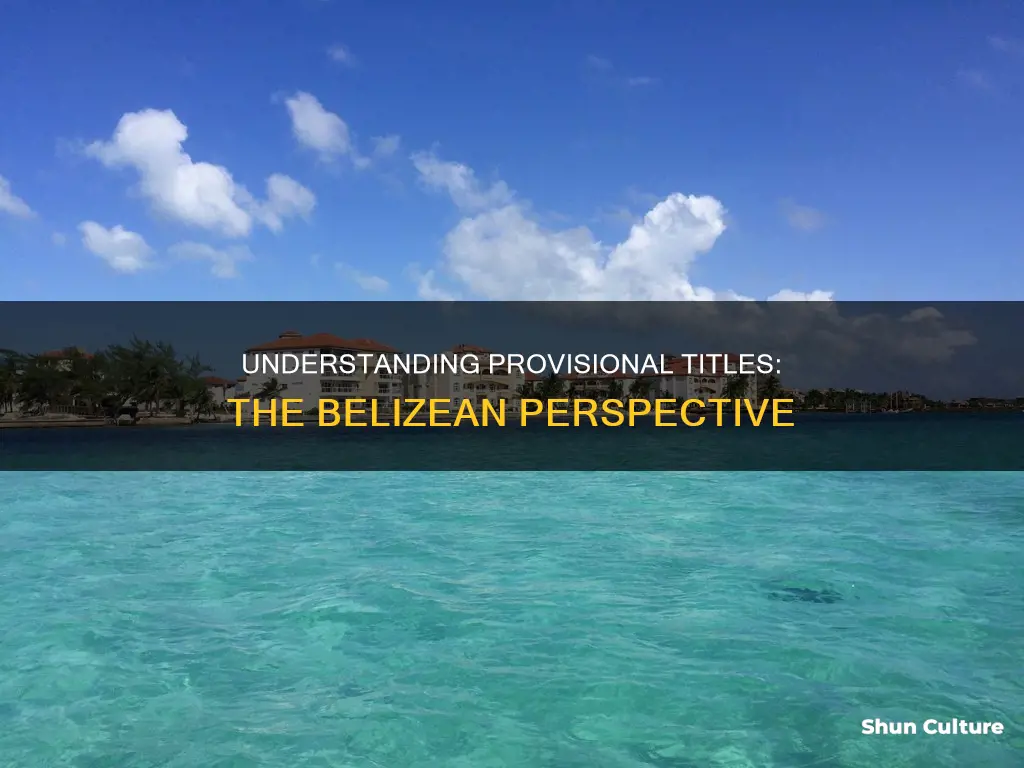 what is a provisional title in belize