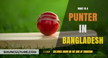 Understanding the Role of a Punter in Bangladesh's Sports Culture