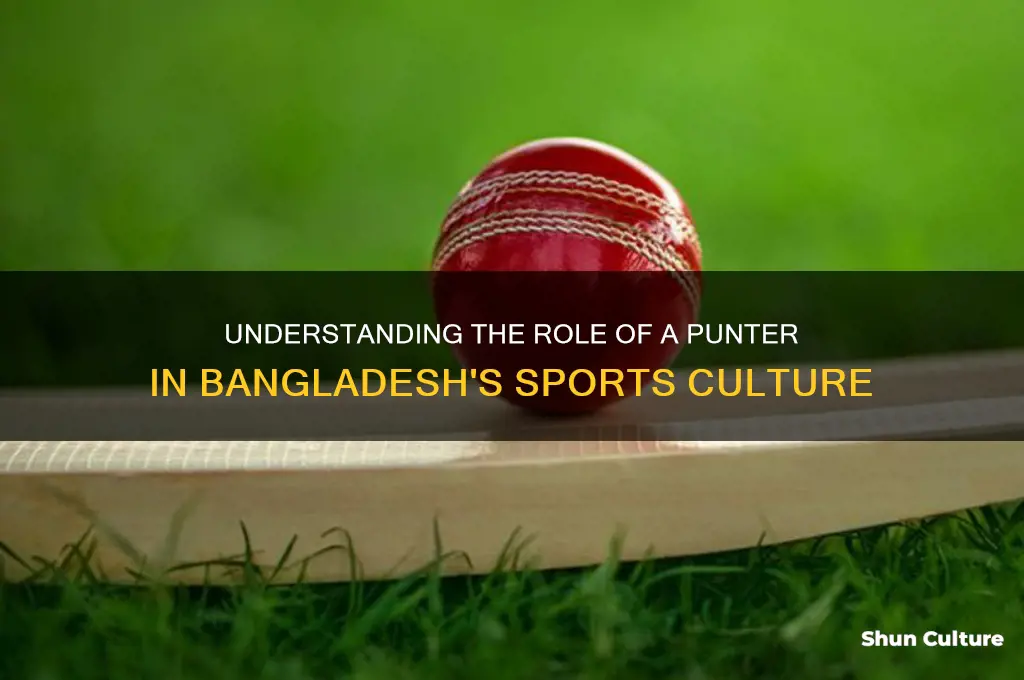 what is a punter in bangladesh
