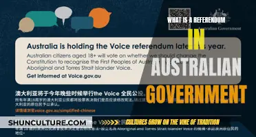 Understanding Referendums in the Australian Political System