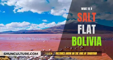 Exploring Salt Flat in Bolivia: A Unique, Otherworldly Experience