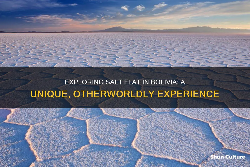 what is a salt flat bolivia