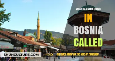 Understanding the Identity: What is a Serb Living in Bosnia Called?