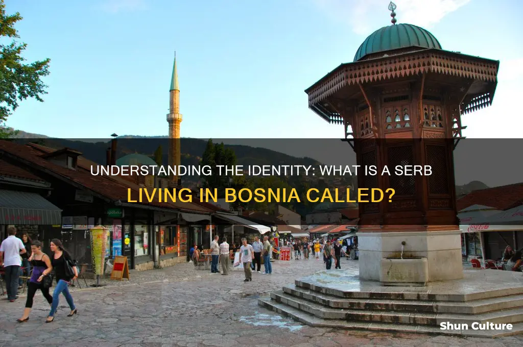 what is a serb living in bosnia called