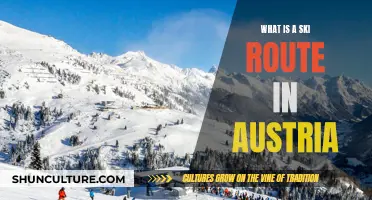 Exploring Austria's Ski Routes: A Guide to Winter Adventures