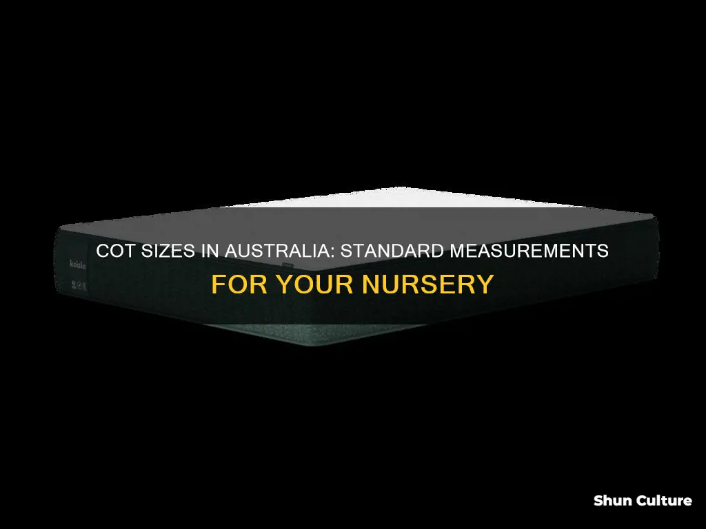 what is a standard cot size australia