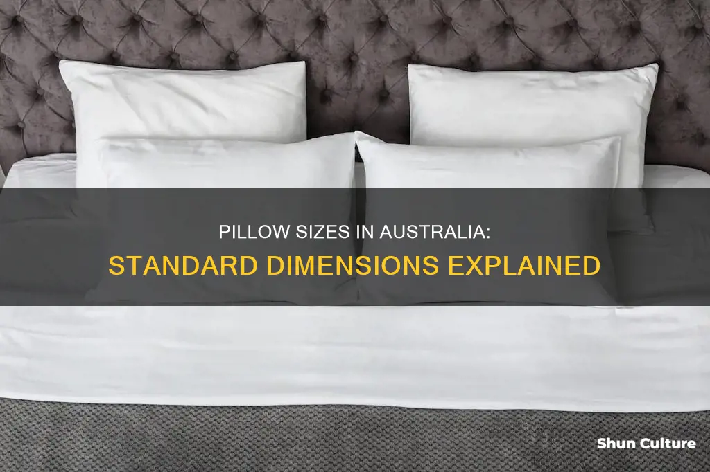 what is a standard pillow size in australia