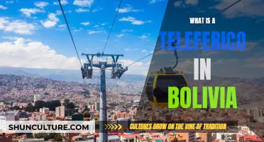 Bolivia's Teleferico: A Unique Aerial Transport System