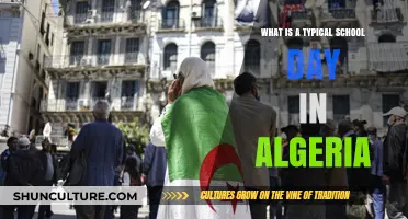 A Day in Algerian Schools: Timetables, Traditions, and Learning Life