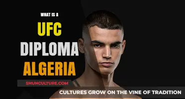 Understanding the UFC Diploma in Algeria: Benefits and Requirements
