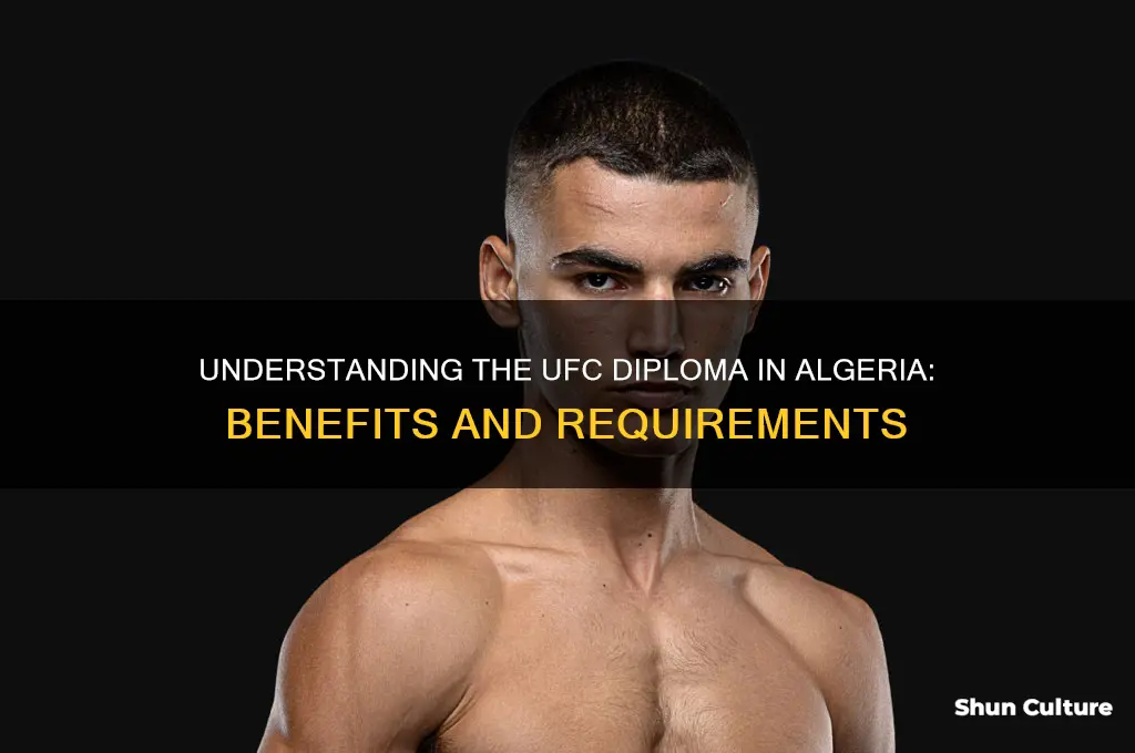 what is a ufc diploma algeria