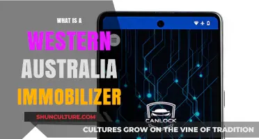 Western Australia's Unique Immobilizer Program: What You Need to Know