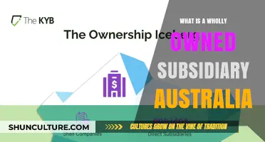 Understanding Wholly Owned Subsidiaries in Australia