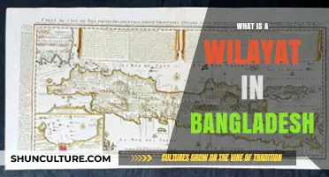 Understanding Wilayat: Bangladesh's Unique Administrative Division Explained