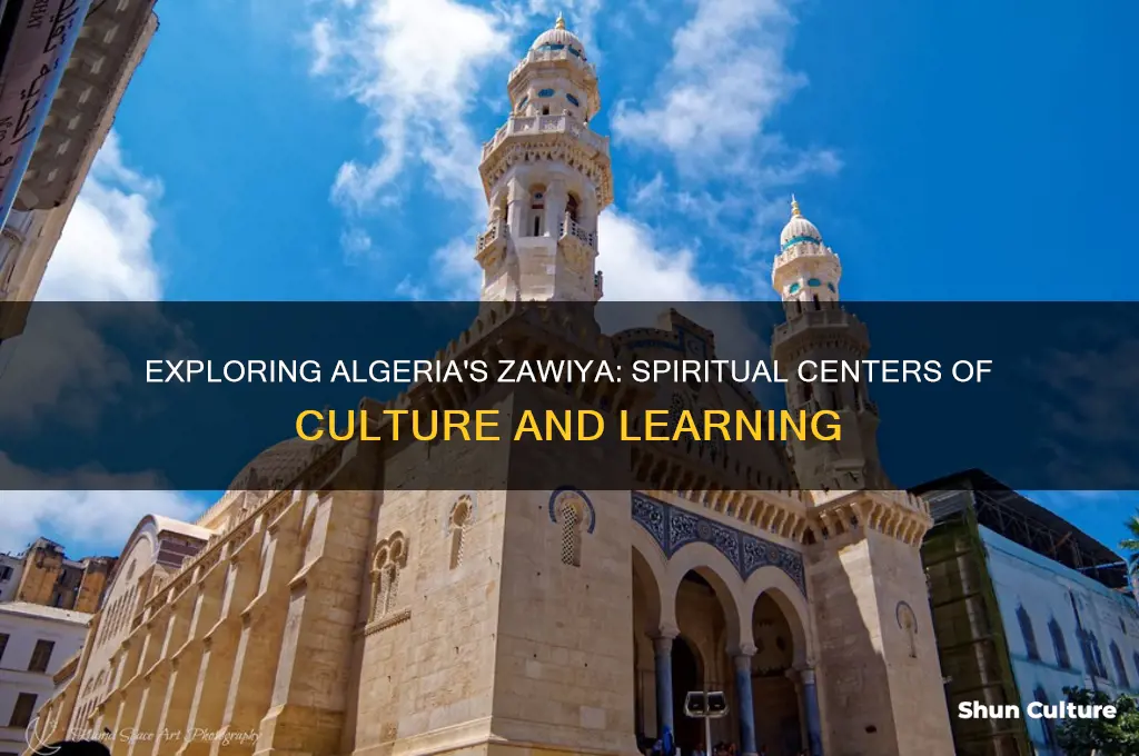 what is a zawiya algeria