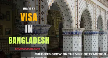 Understanding Bangladesh's A3 Visa: Requirements, Eligibility, and Application Process
