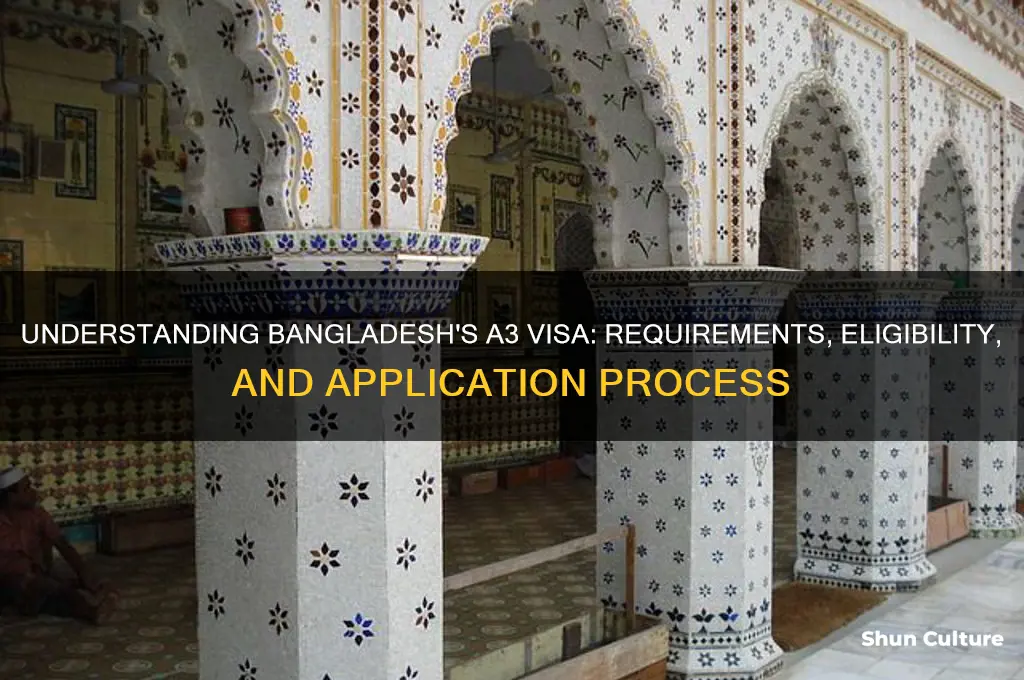 what is a3 visa in bangladesh