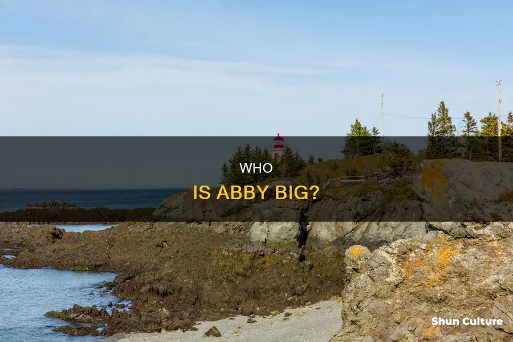 what is abby big from new brunswick real name