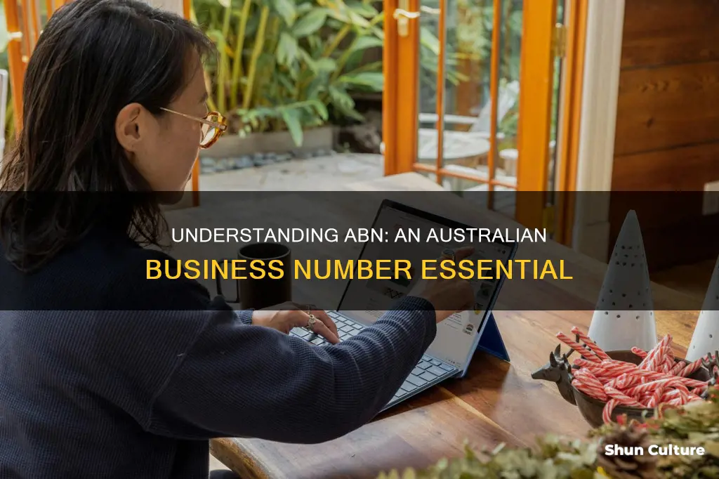 what is abn australian business number