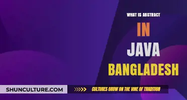 Understanding Java Abstract Classes and Methods in Bangladesh