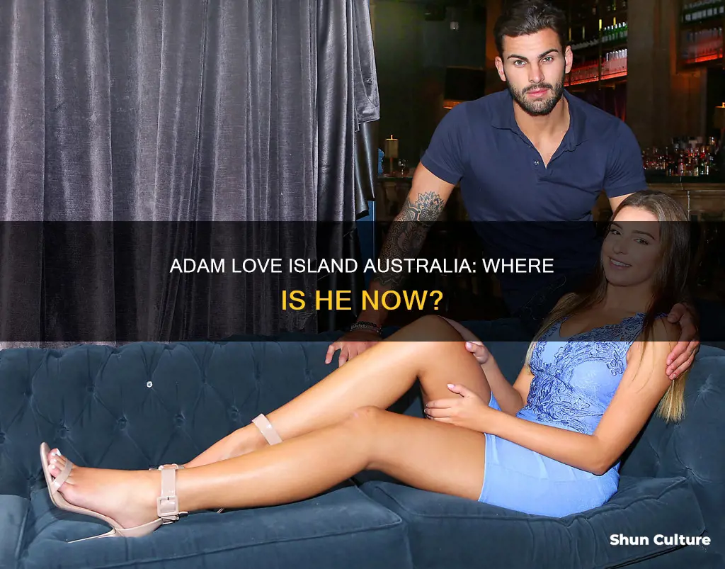 what is adam from love island australia doing now